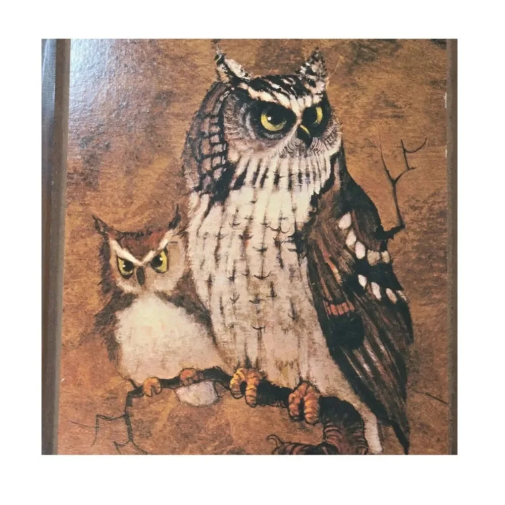 Vintage Richard Hinger “Screech” Owl Wall Art – 1970s Framed Woodland Print